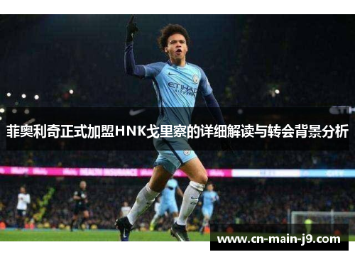 菲奥利奇正式加盟HNK戈里察的详细解读与转会背景分析