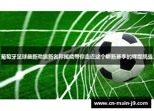 葡萄牙足球最新劲旅新名称揭晓带你走近这个崭新赛季的辉煌挑战